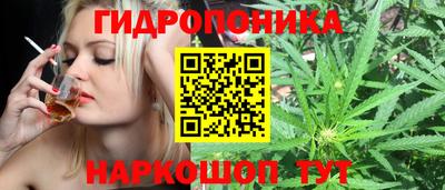 амф Краснодар