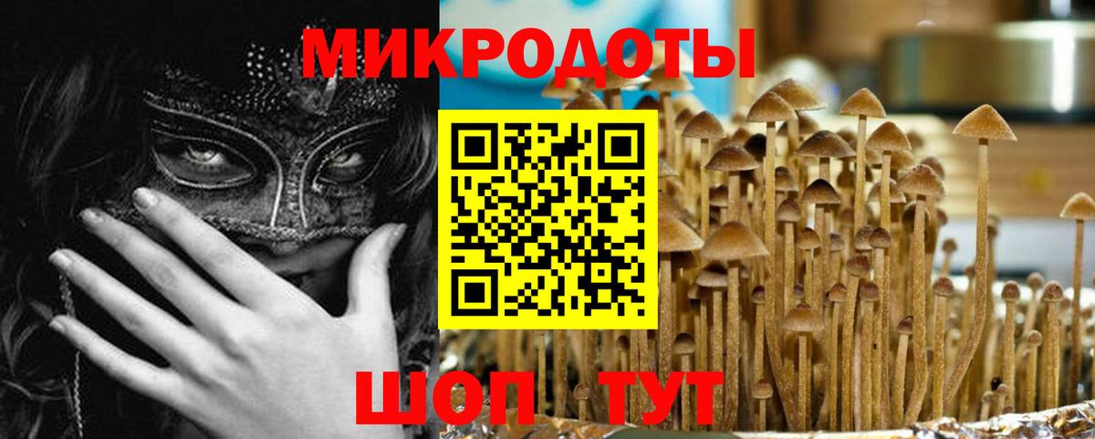 Набережные Челны  Галлюциногенные грибы прущие грибы  Галлюциногенные грибы Psilocybe  Вход с VPN 