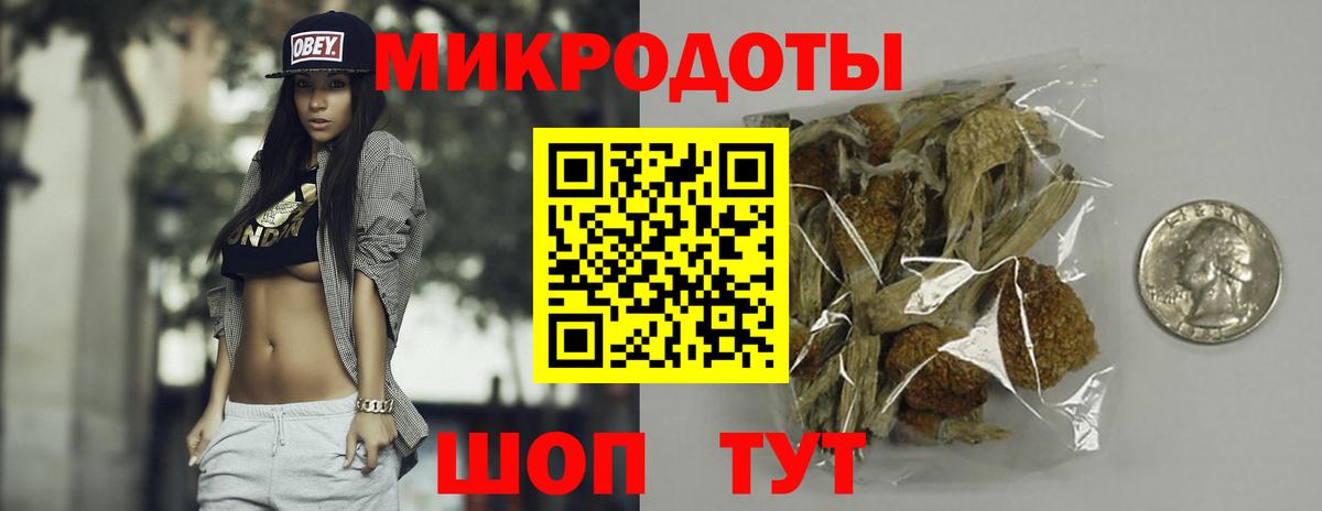 Псилоцибиновые грибы Psilocybe Набережные Челны